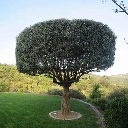 Panoramic View Grimaud Villa