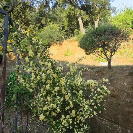 Villa Panoramic View Grimaud La Garde-Freinet